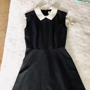 Eliza J. Pearl Collared Black Dress
